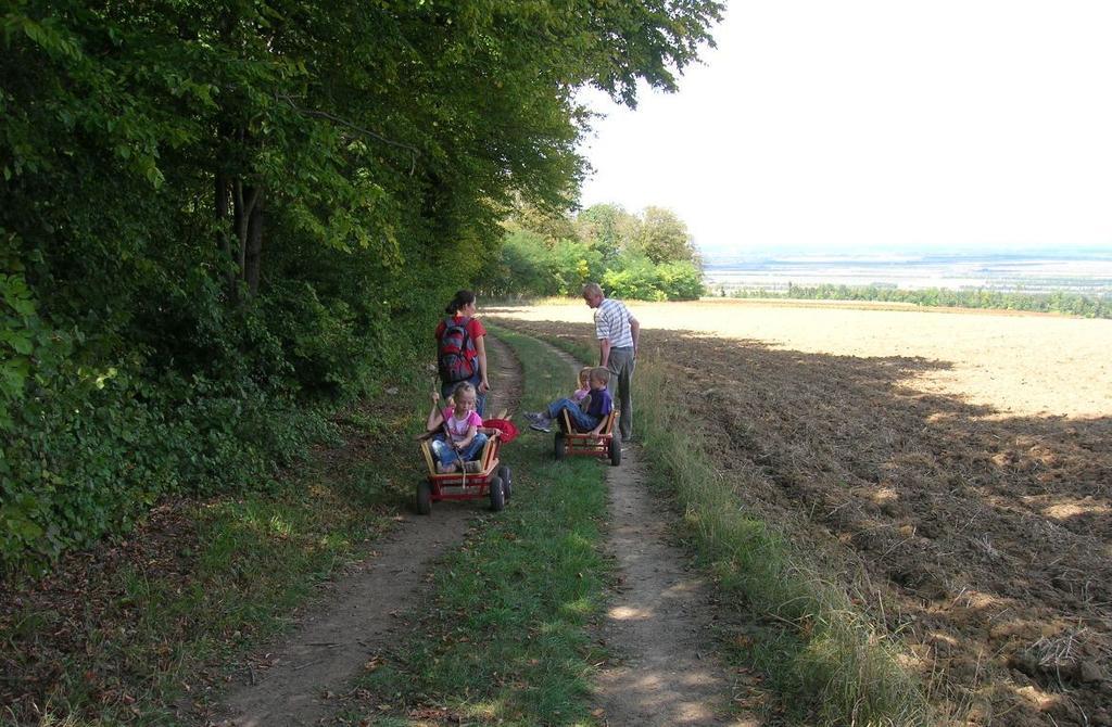 Weinbauernhof Vier Jahreszeiten Staatz Kültér fotó