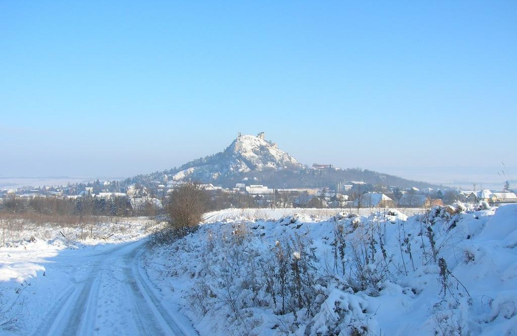 Weinbauernhof Vier Jahreszeiten Staatz Kültér fotó