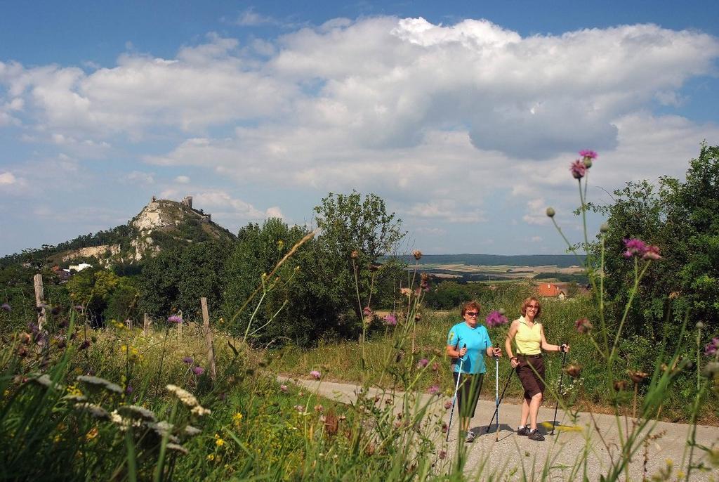Weinbauernhof Vier Jahreszeiten Staatz Kültér fotó